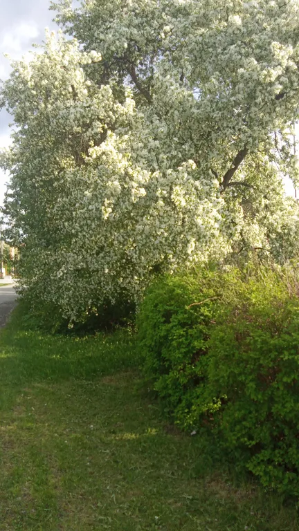 Кашинская Ривьера