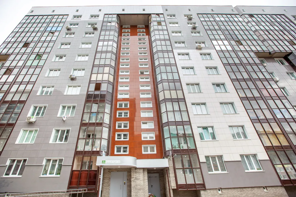 Grey Cardinal Sutki Life