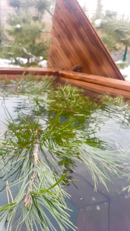 Афрейм домик с баней и чаном