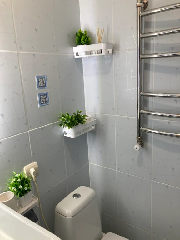 Квартира в хвойном лесу