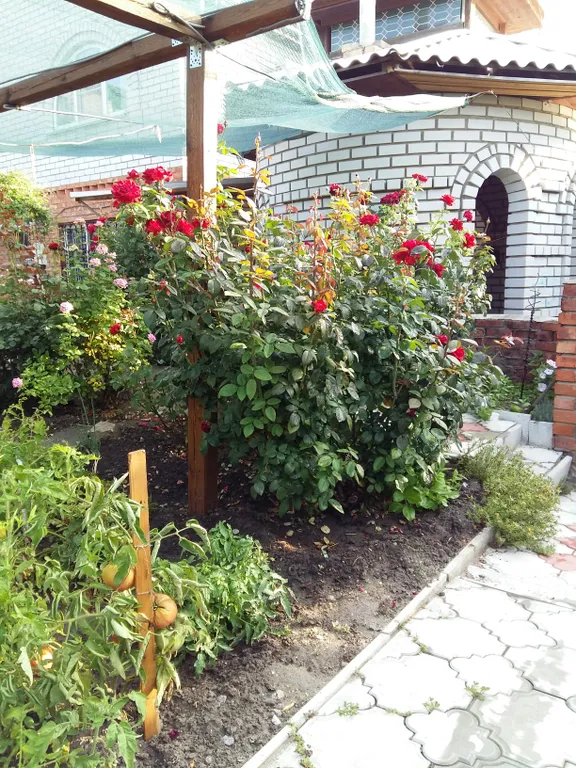 Коттедж Коттедж в экологической зоне — Волгоград