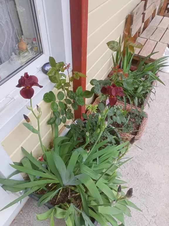 Уютные апартаменты