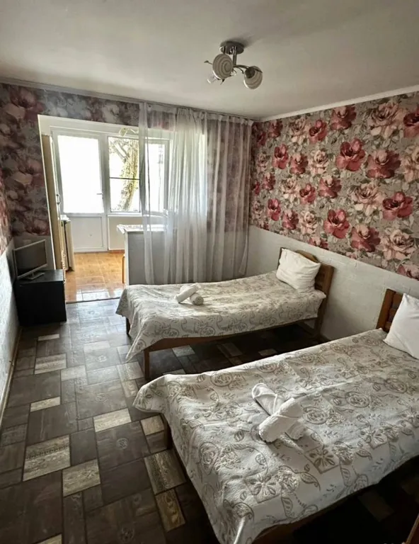 Квартира Студия в центре Олимпийского парка — аренда посуточно в Сириус