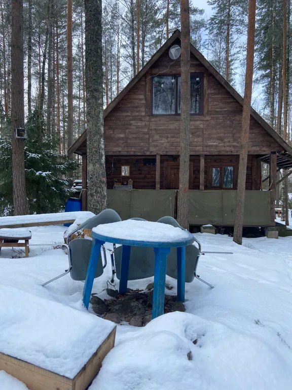 Хижина в лесу на берегу озера без соседей