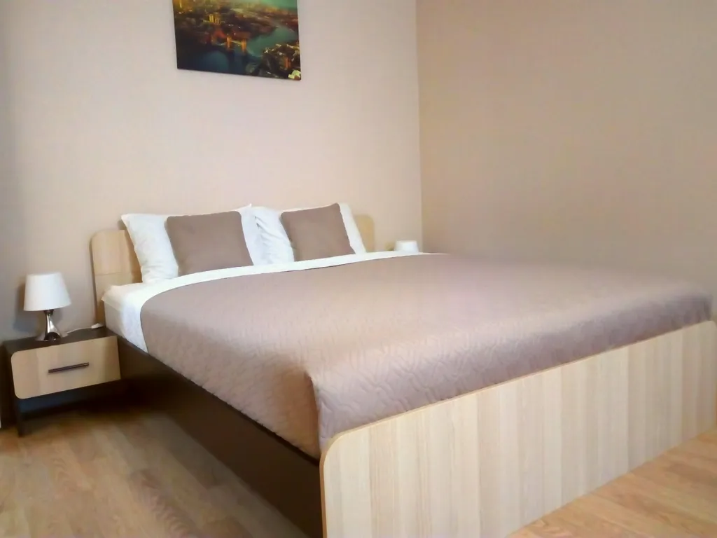 Квартира Apartment in center — аренда посуточно в Балашиха