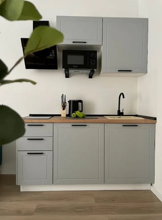 Квартира Дизайнерская квартира — Мисайлово