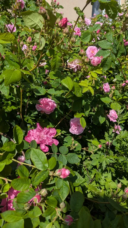 1 ком. квартира на Балтийском берегу