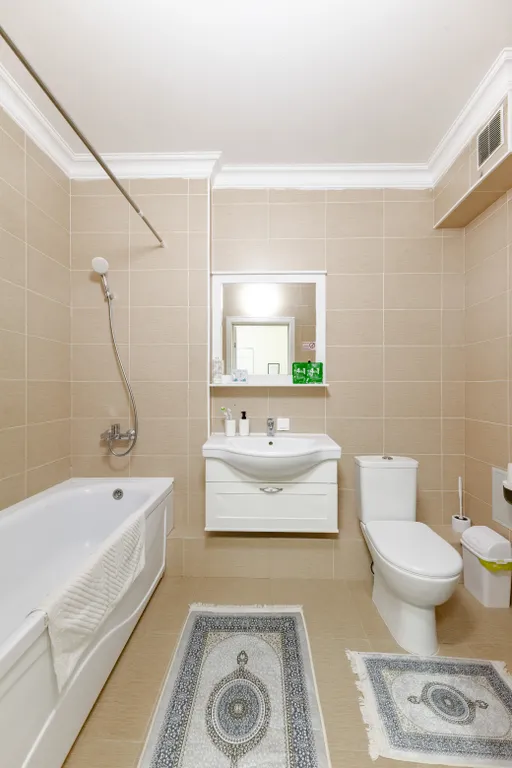 Центр города Астана Арена, Барыс Арена, Ботанический сад