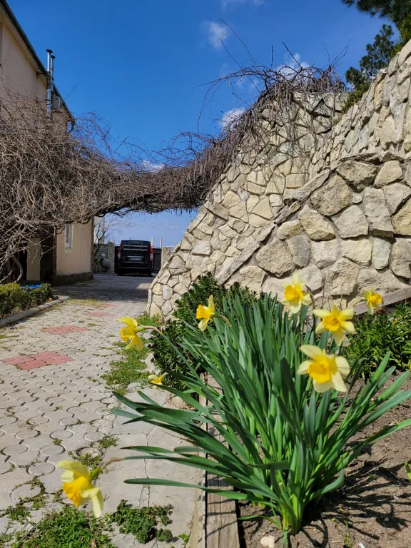 Большие апартаменты. Вилла с беседкой на Киловой горе. 2 этаж