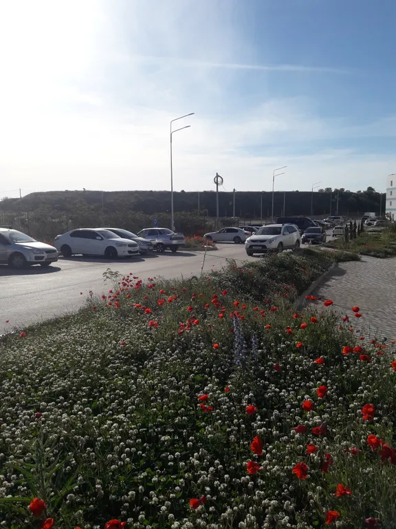 Квартира Квартира Студия на самом берегу Черного моря — Севастополь