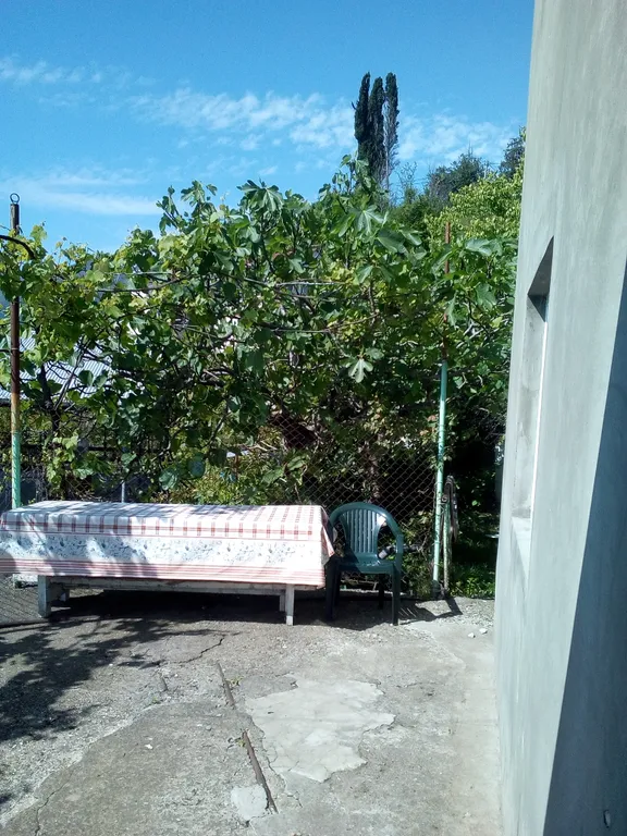 Квартира Комната с прямым видом на море — Гагра