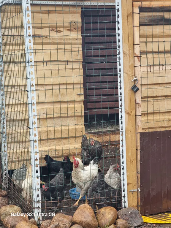 Комфортабельная баня