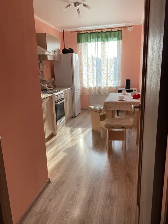 Квартира Уютная квартира — Светлогорск