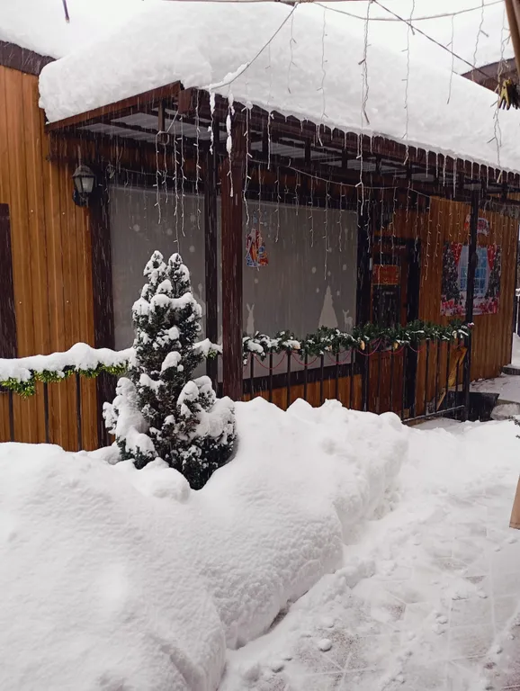 Коттедж Уютный дом для отдыха с видом на плато Лаго-Наки — Мезмай