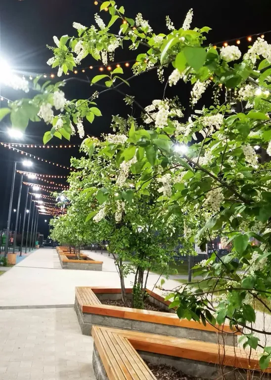 Студия в Звёздном городке