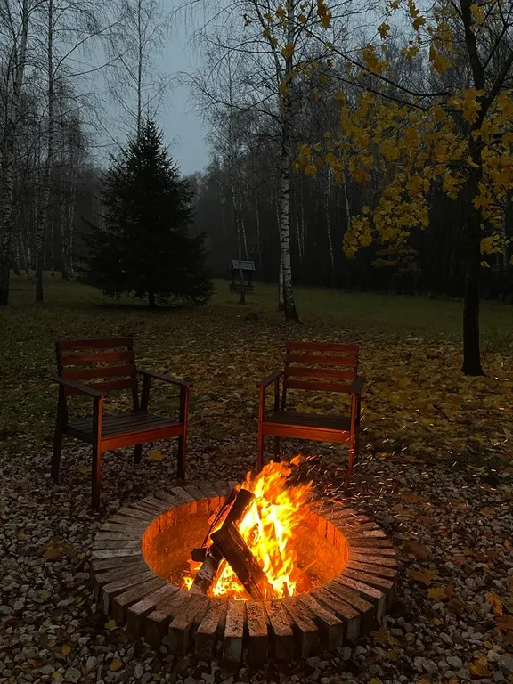 Дом с баней на лесной опушке