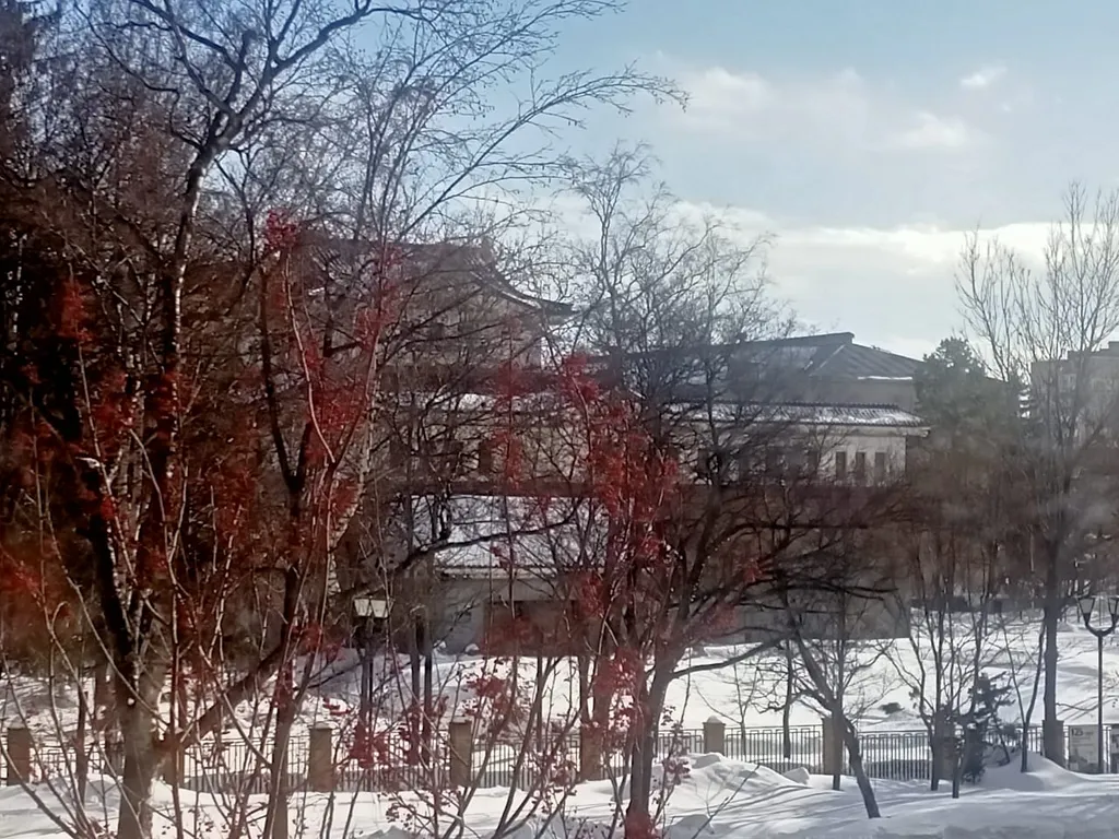 Вид на музей в традиционном японском стиле