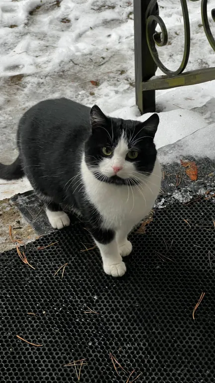 Дом-дуплекс