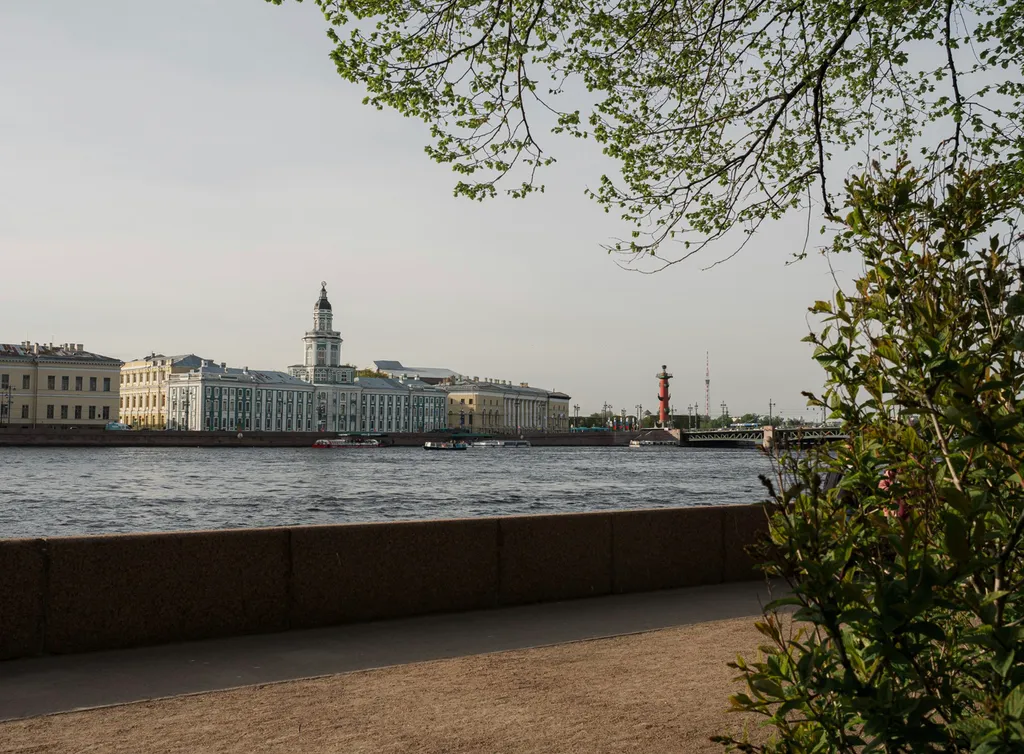 Квартира с видом на Неву