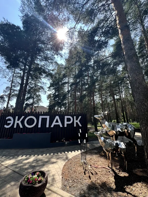 Уютная квартира в Сосновом бору недалеко от туристического центра