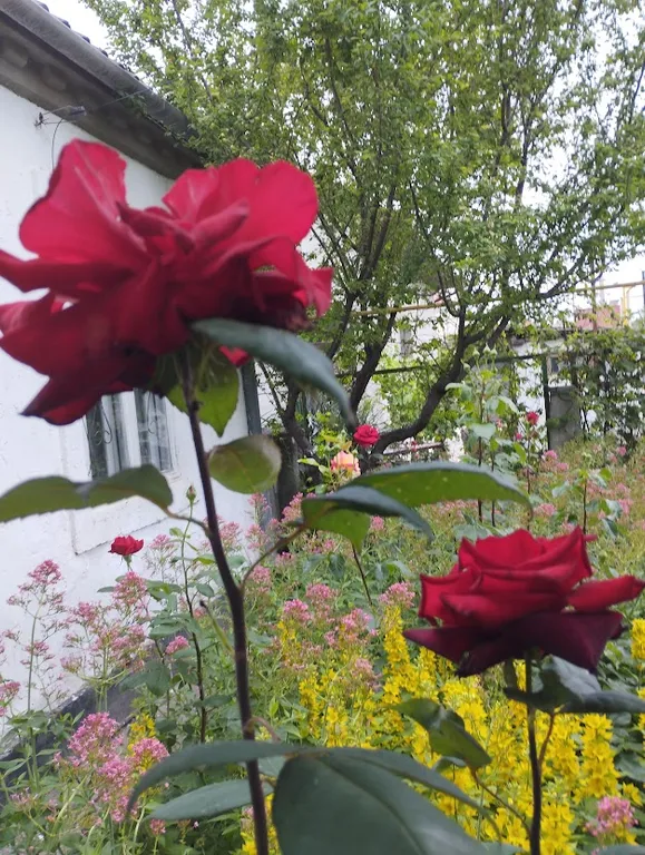 Комната с кондиционером на мансардном этаже