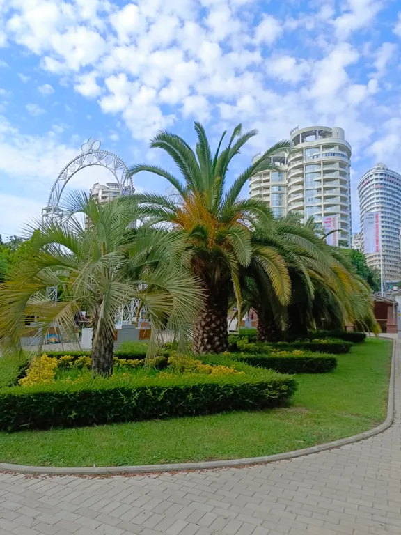 Квартира Квартира в ЗОЛОТОМ треугольнике Сочи.Лучший район. — Сочи