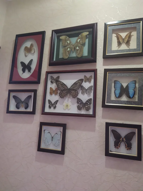 Отличная квартира