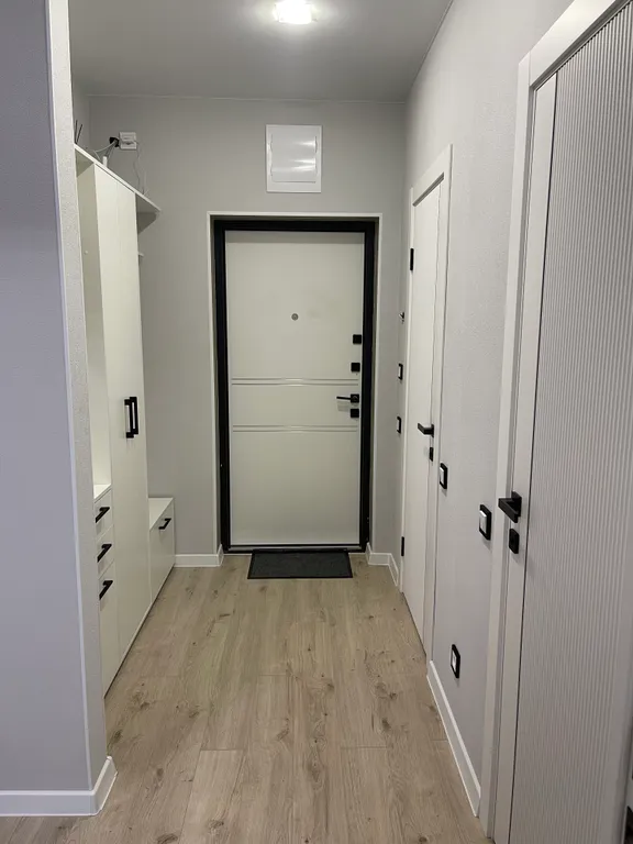 Квартира в новом доме на Чехова, 96