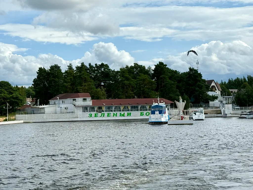 Дом березки