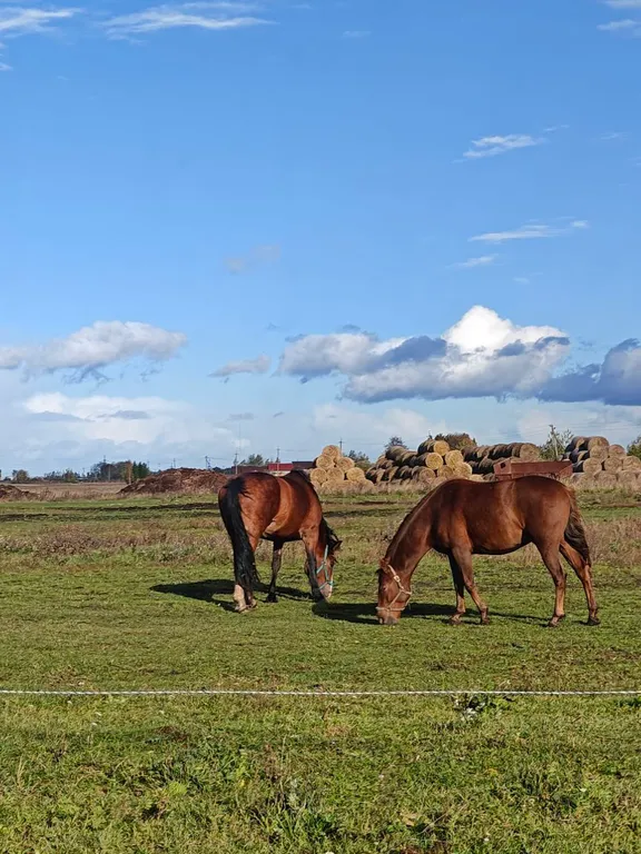 Уютный домик недалеко от города