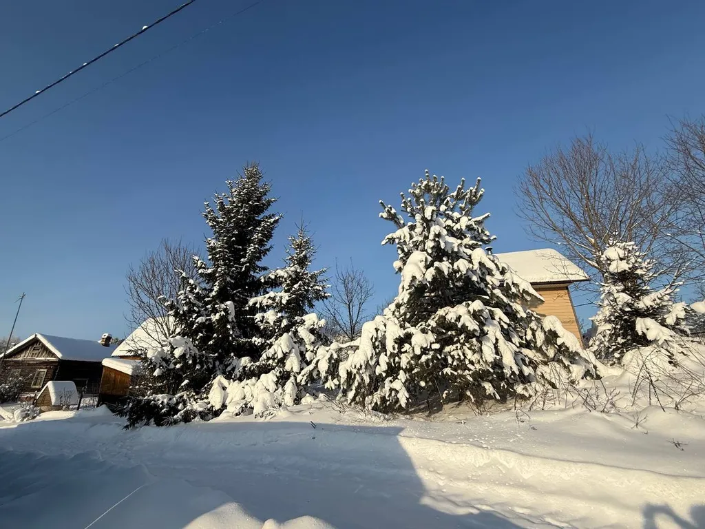 Выход из суеты - не дача Бобёр и Соловьи