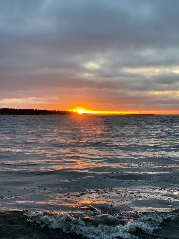 Уютный дом у леса и озера