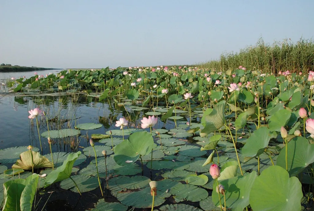 Уютный домик рыбака