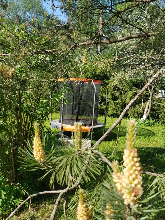 Дом с сауной у озера