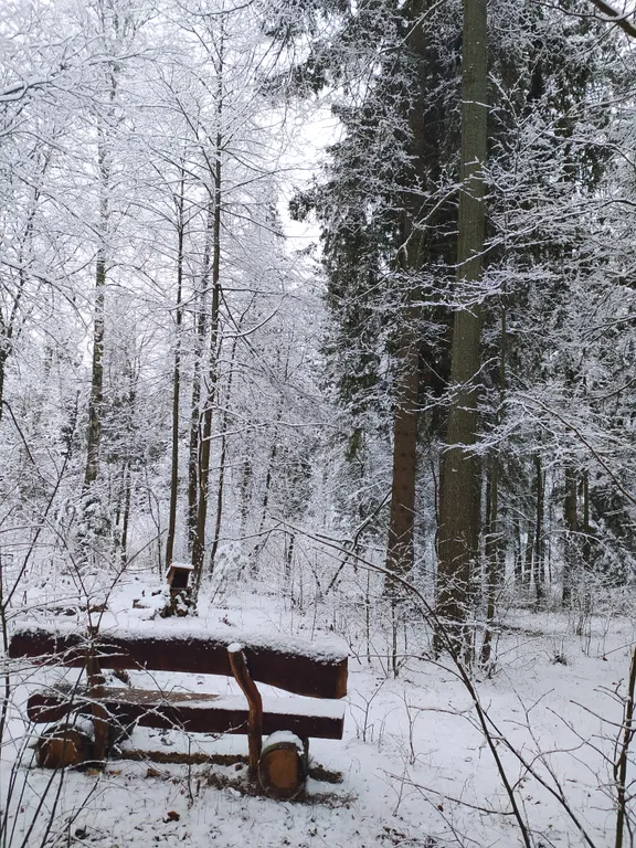 Лесной домик a-frame с террасой на холме, среди высоченных елей и берез