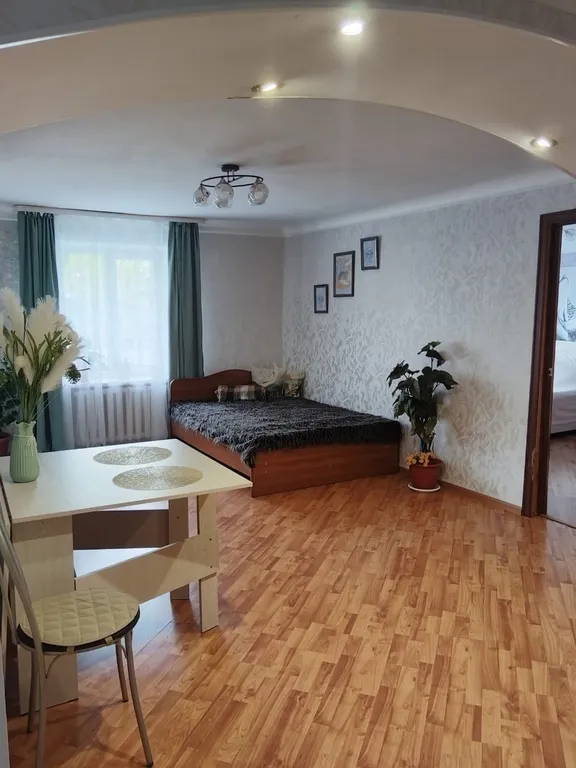 Уютная большая квартира в центре города