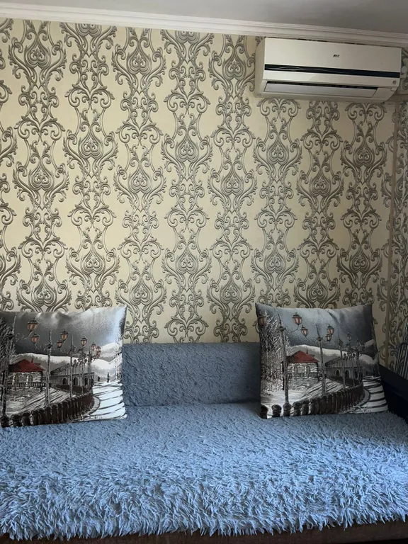 Уютная студия в центре города