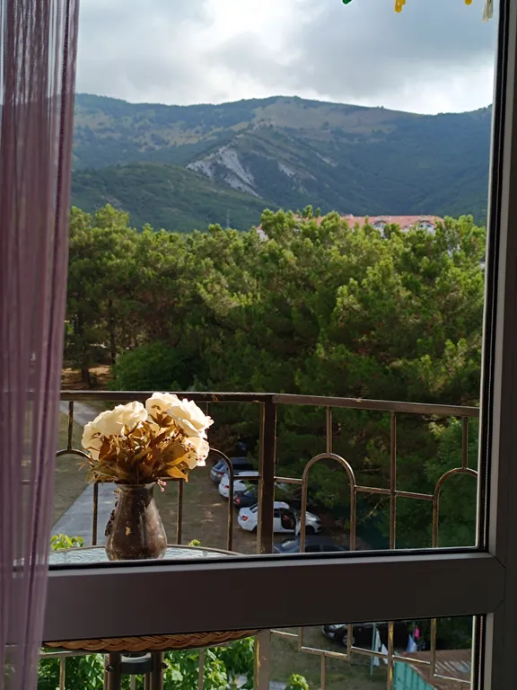 Квартира Квартира у самого Черного моря — Геленджик