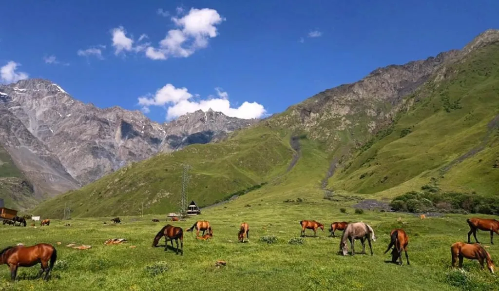 4-комнатный Дом