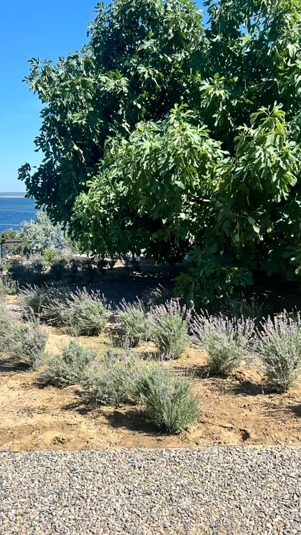 Квартира Комната — Сенной