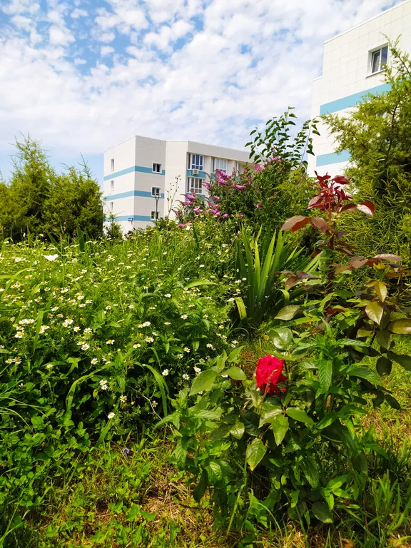 Квартира Квартира-студия возле моря с бассейном в Адмиральской Лагуне — Севастополь