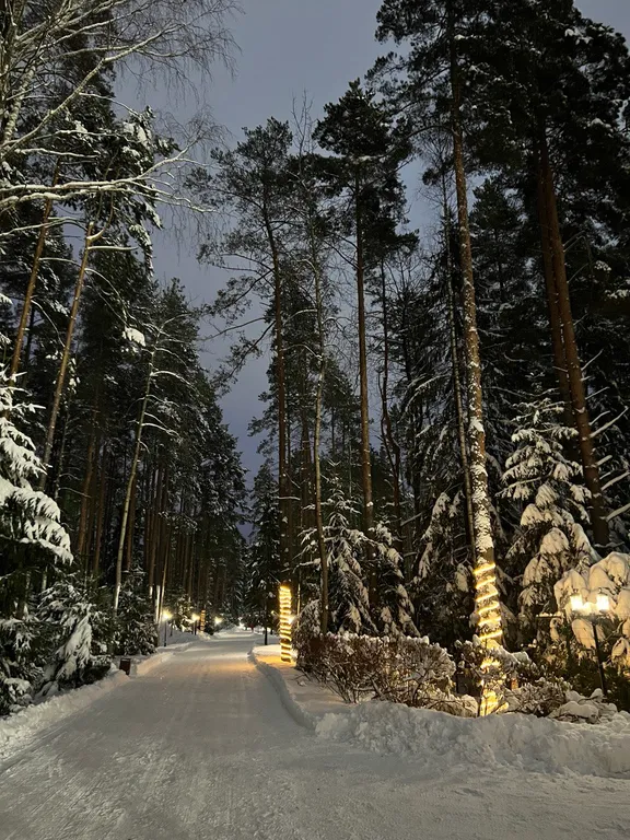 Апартаменты Ohta Hills