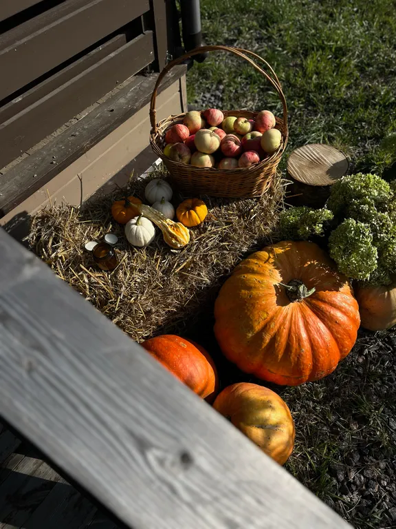 Большой дом с баней на участке