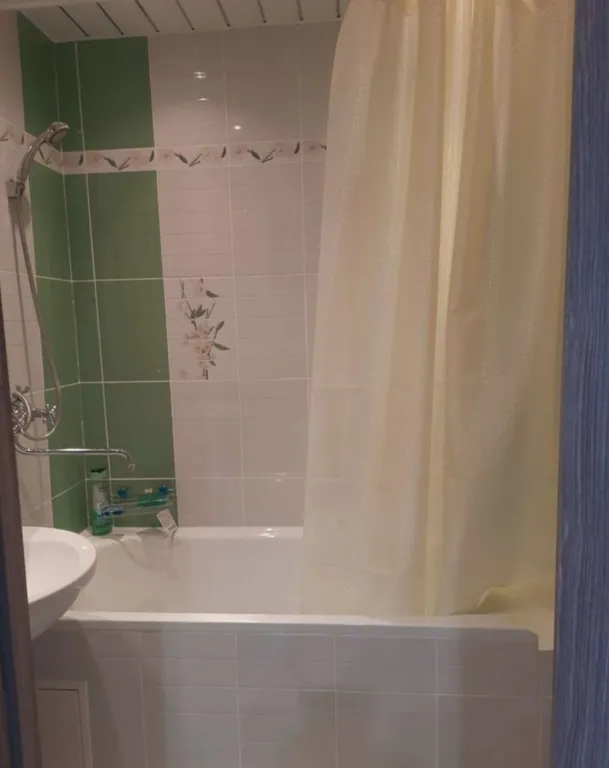 Уютная квартира возле озера Тургояк