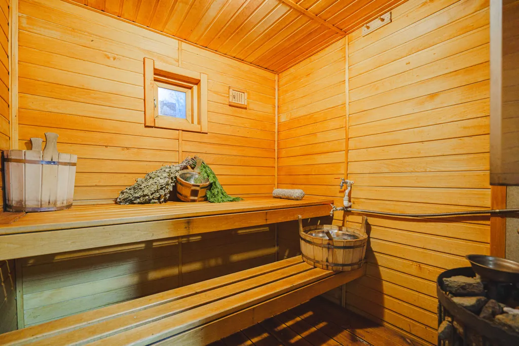 Дом с баней с выходом в лес