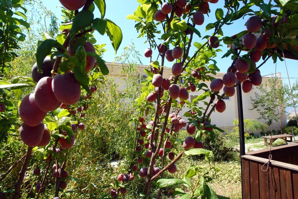 Вилла Панорама апартамент западный