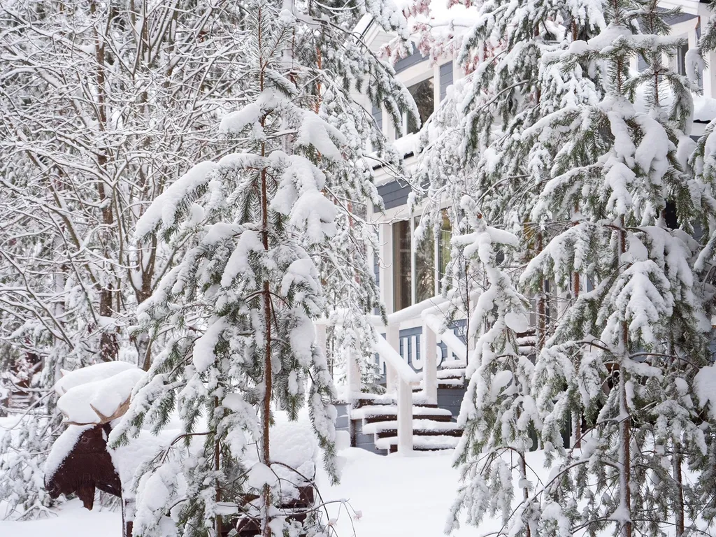 Уютный и просторный коттедж в сосновом бору на берегу озера
