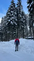Хадис
