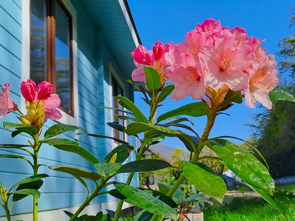 Коттедж 2-комнатный Дом — аренда посуточно в Дедеркой