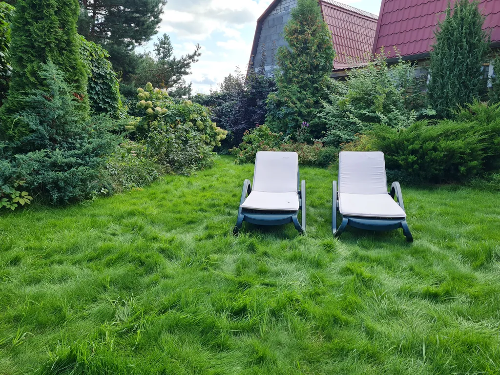 Апартаменты Кроличья нора